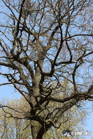 img_0935