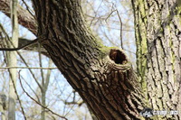 img_0997