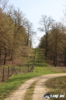 IMG_1092