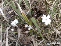 dsc00397