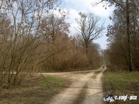dsc00399