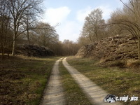 dsc00402