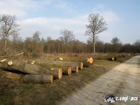 dsc00405