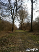 dsc00410