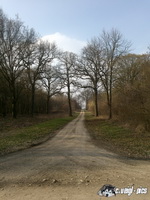 dsc00411