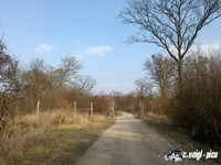 dsc00413