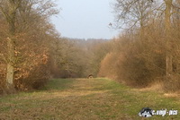 dsc00431-2