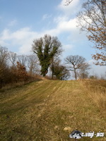 dsc00437
