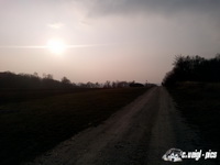 dsc00441