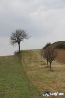 img_0404