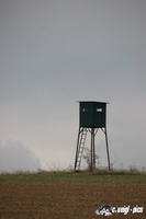 img_0414