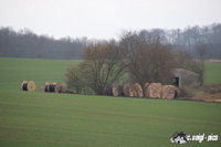 img_0445