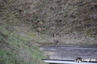 img_0452