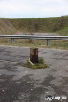img_0467