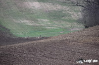 img_0475