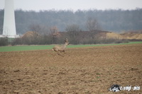 img_0497