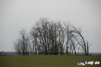 img_0509
