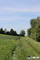 img_2100