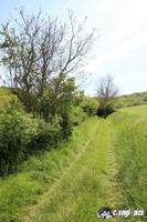 img_2118