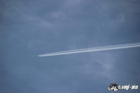 img_2166