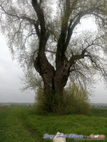 dsc00484