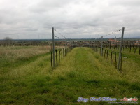 dsc00492
