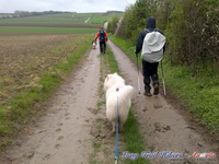 dsc00494
