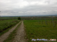 dsc00495