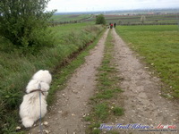 dsc00500