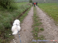 dsc00501