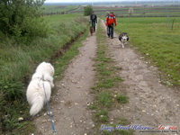 dsc00502