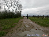 dsc00503