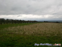 dsc00508