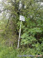 dsc00510