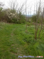dsc00511