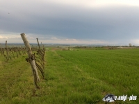 DSC00570