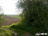 DSC00575