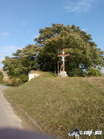 dsc00741