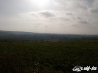 dsc00745