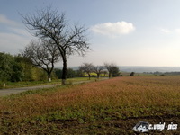 dsc00758