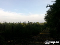 dsc00773