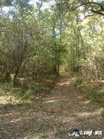 dsc00774