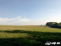 dsc00784
