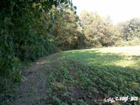 dsc00785