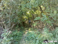 dsc00786