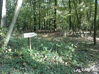 dsc00789