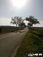 DSC00818