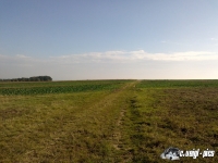 DSC00819