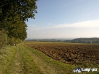 DSC00825
