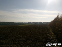 DSC00826